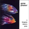 Gone Phishin: A Bluegrass Tribute to Phish