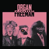 Organ Freeman artwork