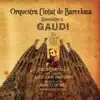 Homenatge a Gaudi album lyrics, reviews, download