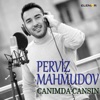 Canımda Cansın - Single