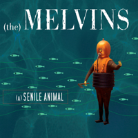 (the) Melvins - (A) Senile Animal artwork
