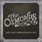 Breakable (feat. Marie Osmond) - The Osmonds & Jimmy Osmond lyrics