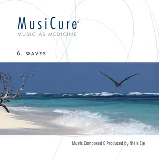 descargar álbum Niels Eje - MusiCure 6 Waves