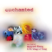 Enchanted: Best Of artwork