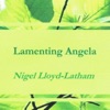 Nigel Lloyd-Latham - Meditation No. 4: Je taime a la folie