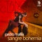 Reliquia Gaucha (with Luis Diaz) - Pedro Maffia lyrics