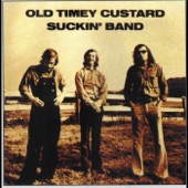 Emerson's Old Timey Custard-Suckin' Band - The Brand New Tennessee Waltz