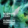 Florestas Submersas album lyrics, reviews, download