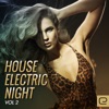 House: Electric Night, Vol. 2