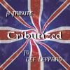 Tributized: A Tribute To Def Leppard, 2000