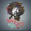 Monterey Pop 2015 - Single album lyrics, reviews, download