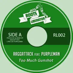 Too More Gunshot (feat. Purpleman) - Single by Raggattack album reviews, ratings, credits