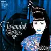 Turandot, Puccini, Grandes Óperas album lyrics, reviews, download