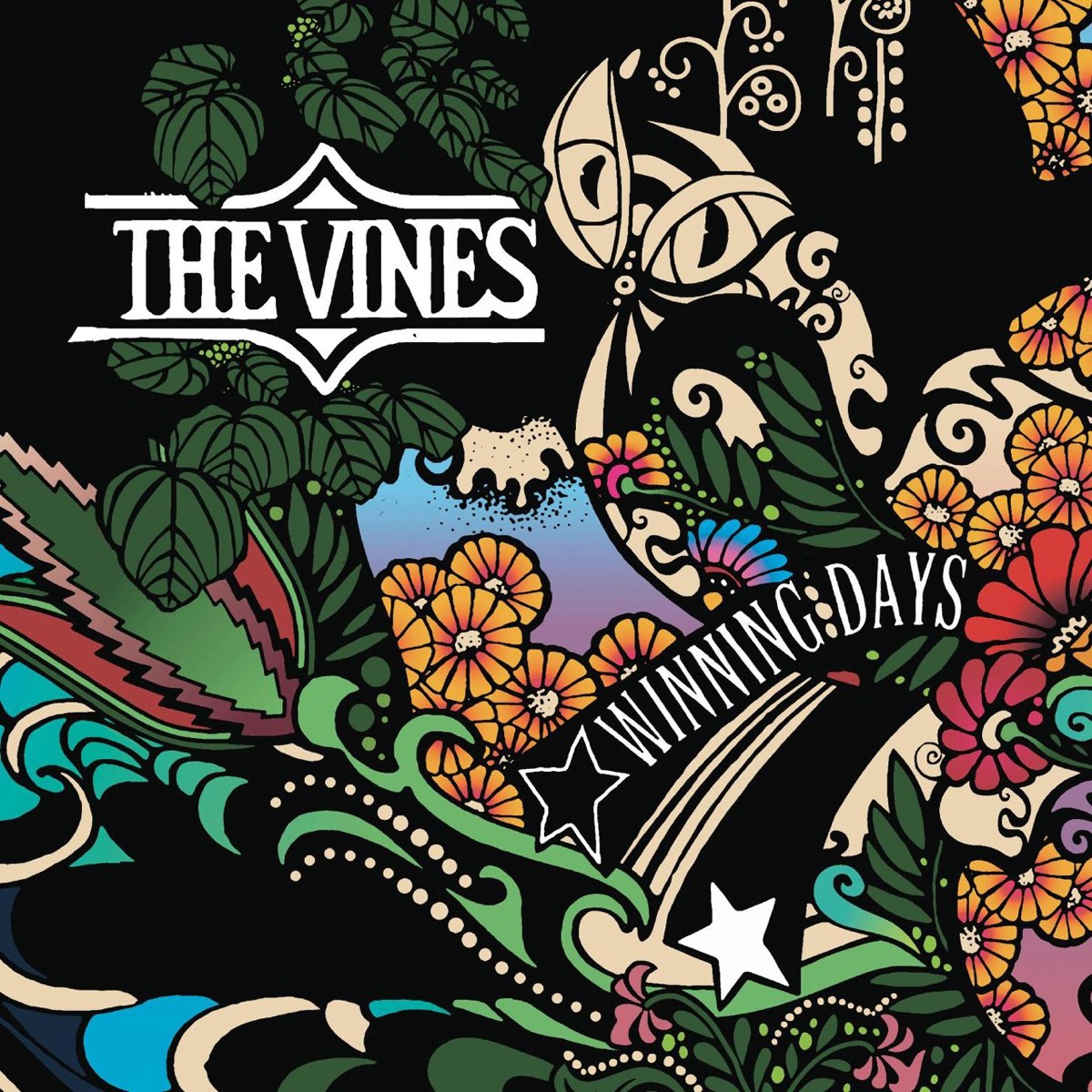 The vines. The Vines - winning Days. Vine. Обложка Vine Music. Don't listen to the Radio the Vines.