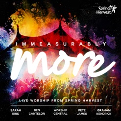 IMMEASURABLY MORE cover art