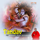 ShivYog Chants Tandav - Avdhoot Baba Shivanand