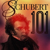 Schubert 101 artwork