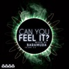 Can You Feel It?, Vol. 6 (Mixed By Baramuda)