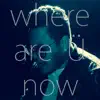 Where Are Ü Now - Single album lyrics, reviews, download