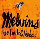 Melvins - Interstellar Overdrive