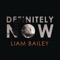 Villain (feat. A$AP Ferg) - Liam Bailey lyrics
