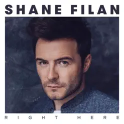 Right Here - Shane Filan