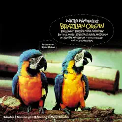 Walter Wanderley's Brazilian Organ - Walter Wanderley