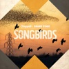 Songbirds - EP