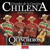 Grandes de la Canción Chilena - Antología artwork