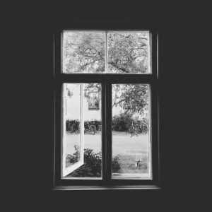 Rewind - Single