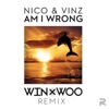 Am I Wrong - Single