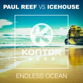 Endless Ocean (Paul Reef vs. Icehouse) [Remixes] - Single artwork