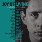 David Gray - The Joy of Living