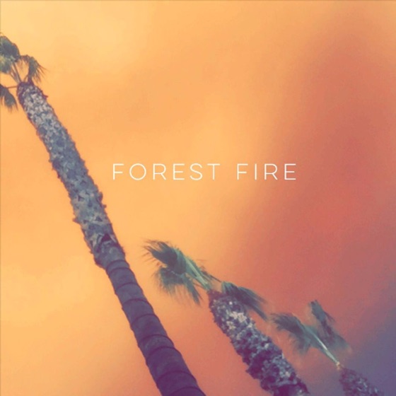Cover artwork for Forest Fire