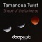 Shape of the Universe - Tamandua Twist lyrics
