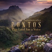 Pontos: This Land has a Voice artwork