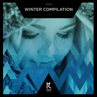 Winter Compilation by Various Artists album reviews, ratings, credits