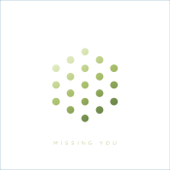 Missing You (feat. Tyler Daley & DRS) - LSB