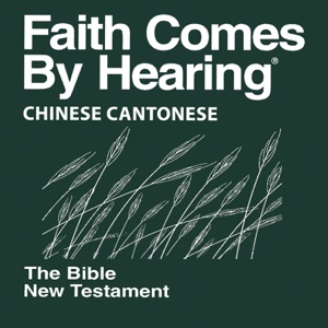 马 太 福 音 1 - Matthew 1