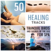 Tranquil Birds and Sounds of the Sea for Spa artwork