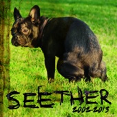 Seether: 2002 - 2013 artwork