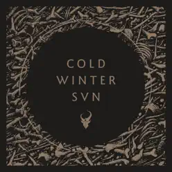 Cold Winter Sun - Single - Demon Hunter