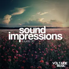 Sound Impressions, Vol. 36 by Various Artists album reviews, ratings, credits