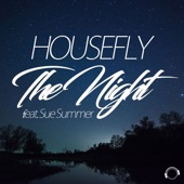 The Night (feat. Sue Summer) [Radio Edit] artwork