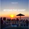 Fortuna - Single