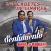 No Hay Novedad by Los Cadetes De Linares iTunes Track 18
