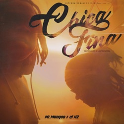 Mr Manyao & H2 - Chica Fina
