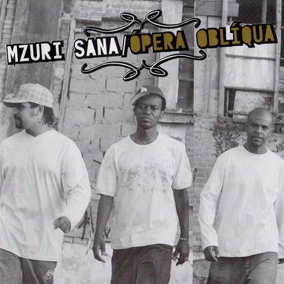 Cover artwork for Rap de Raiz
