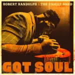 Robert Randolph & The Family Band - Be the Change