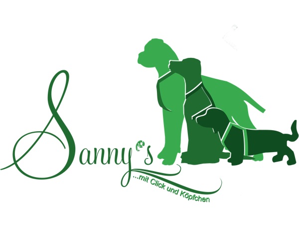 Sanny's Podcast cover